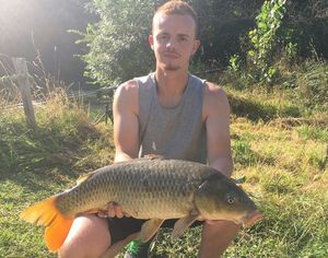 Common Carp