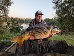 Common Carp