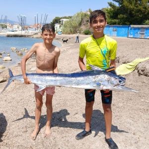 Swordfish