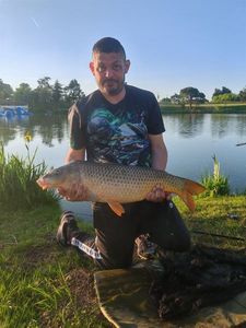Common Carp