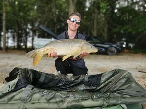 Mirror Carp
