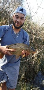 Common Carp