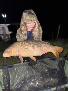 Common Carp