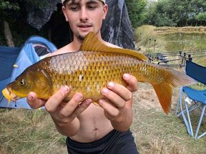 Koï Fish