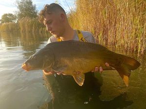 Mirror Carp