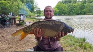 Mirror Carp