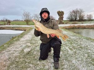 Northern Pike