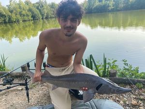 Sturgeon