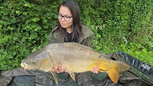 Mirror Carp