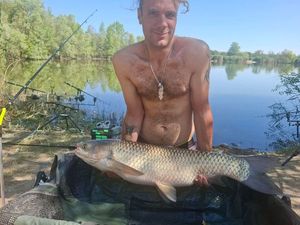 Grass Carp