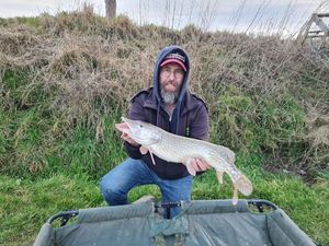 Northern Pike
