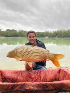 Common Carp