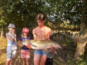 Grass Carp
