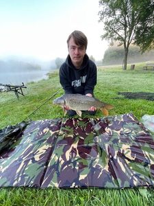 Common Carp
