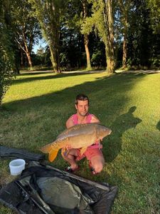 Mirror Carp