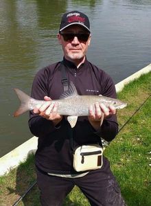 Barbel