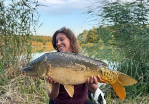 Mirror Carp