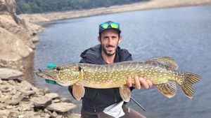 Northern Pike