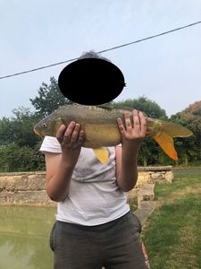 Mirror Carp