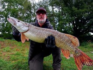 Northern Pike