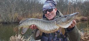 Northern Pike
