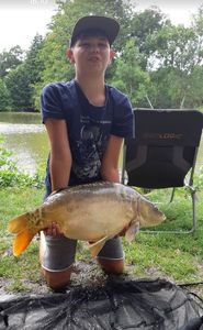 Common Carp