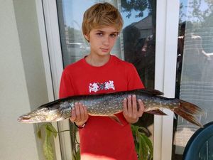 Northern Pike