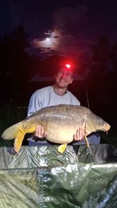Mirror Carp