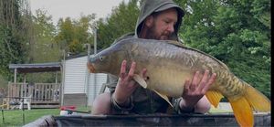 Mirror Carp