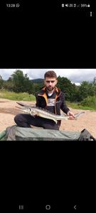 Shortnose Sturgeon