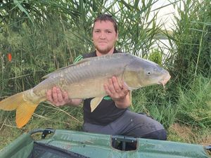 Mirror Carp
