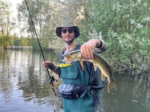 Northern Pike