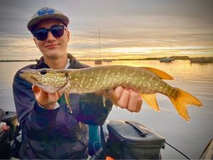 Northern Pike