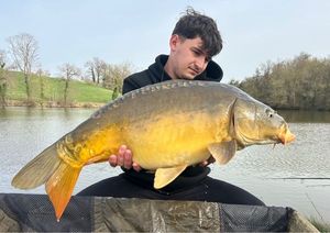 Mirror Carp