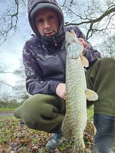 Northern Pike