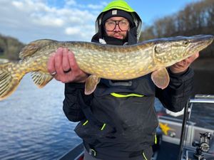 Northern Pike