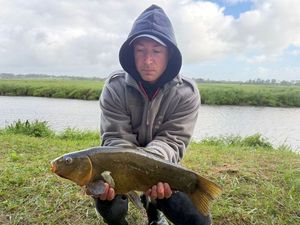 Tench
