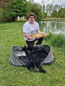 Common Carp