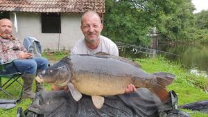 Common Carp