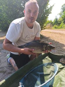 Mirror Carp