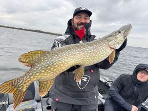 Northern Pike