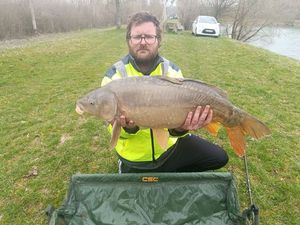 Mirror Carp