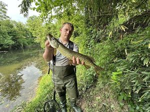 Northern Pike