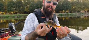 European Perch