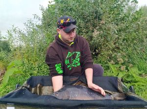 Mirror Carp