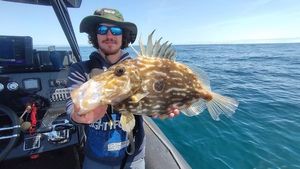 John Dory