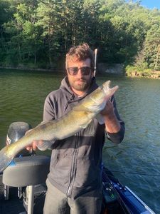 Zander