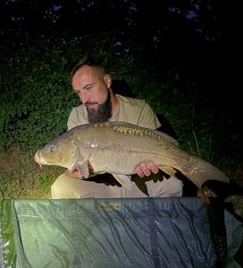 Mirror Carp