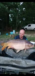 Mirror Carp