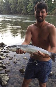 Atlantic Salmon